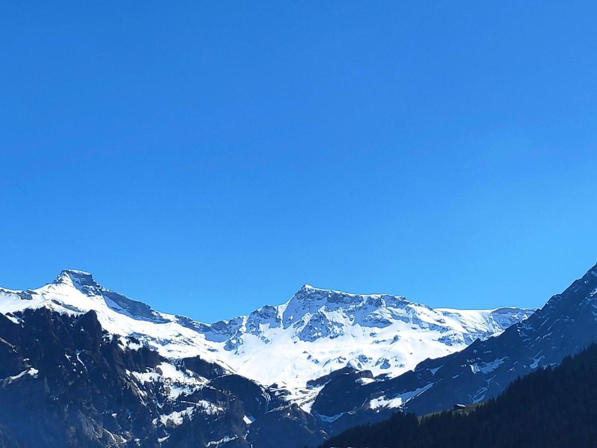 Chuenislodge2- Zwei Balkone, Gemuetlicher Kamin, Top Aussicht Adelboden Exterior photo